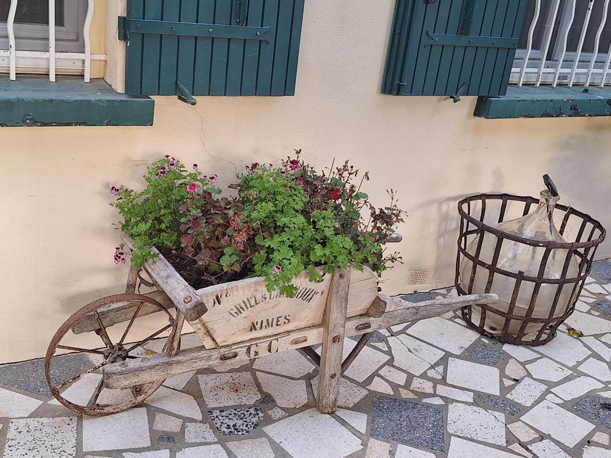 Site Paradis Rue Colibri أفينيون المظهر الخارجي الصورة